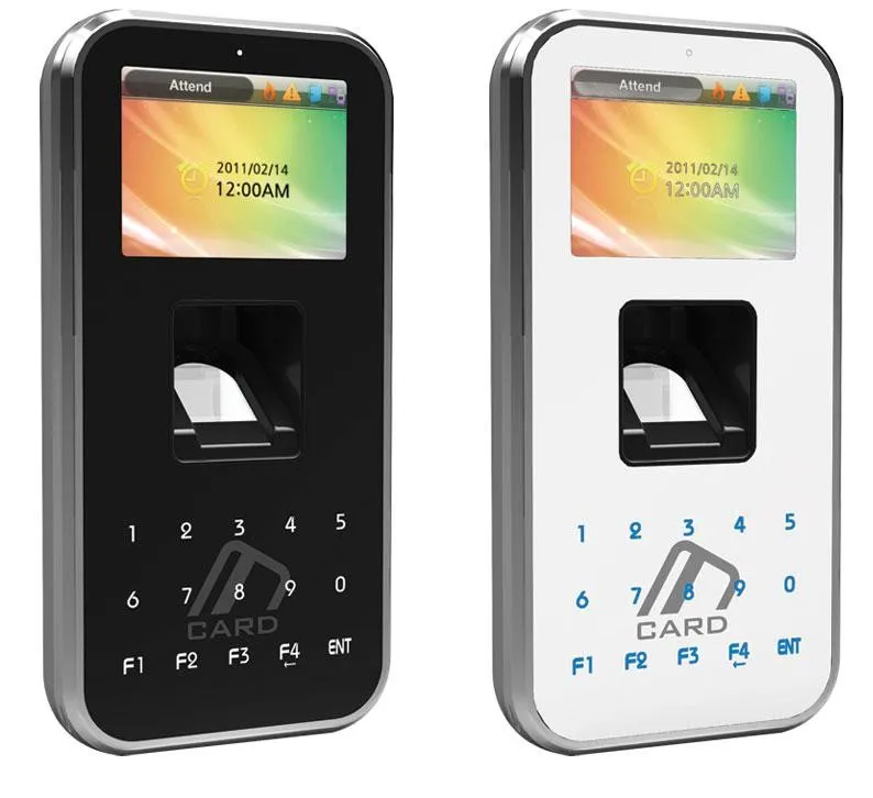 Imagem Ilustrando Optsis