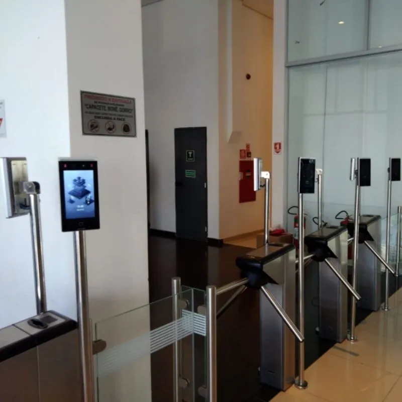 Imagem Ilustrando Optsis